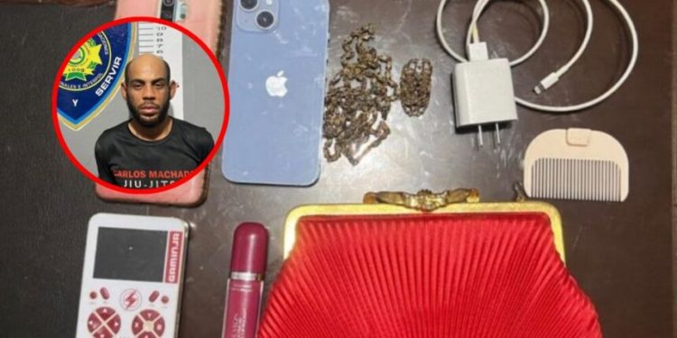 Capturan a “Tito La Brega” tras asaltar a dos mujeres en área monumental de Santiago