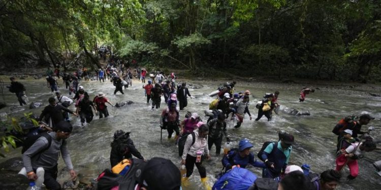 Recortes a la ayuda internacional podrían aumentar la migración forzada, advierte la OIM