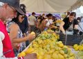 Cierran con éxito la XXI versión de la Feria del Mango Banilejo