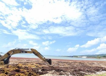 Autoridades dicen que retiraron más de 4,200 toneladas de sargazo en operativo en costas de Barahona