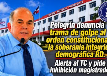 Pelegrín denuncia trama de golpe al orden constitucional y la soberanía Alerta al TC y pide inhibición magistrados Llama a cuidar la integridad demográfica