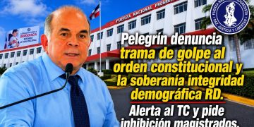 Pelegrín denuncia trama de golpe al orden constitucional y la soberanía Alerta al TC y pide inhibición magistrados Llama a cuidar la integridad demográfica