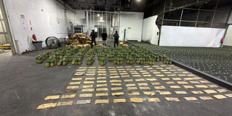 DNCD incauta piñas con 121 láminas de presunta cocaína y arresta a un hombre
