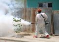 Salud Pública reporta baja en dengue y malaria, pero aumento de casos de leptospirosis