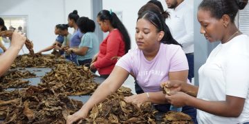 Proindustria invierte 665 millones de pesos en modernización parques industriales