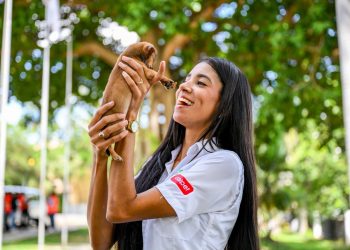 Alcaldía de Santiago celebra sexta Feria de Adopción Canina