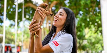 Alcaldía de Santiago celebra sexta Feria de Adopción Canina