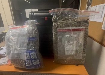 Dejan abandonada en el AILA una maleta cargada con casi 29 libras de marihuana