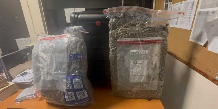 Dejan abandonada en el AILA una maleta cargada con casi 29 libras de marihuana