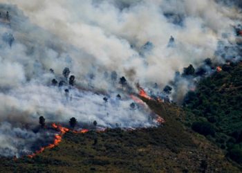 Los incendios en España han afectado a zonas protegidas que tardarán años en recuperarse