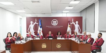Tribunal Constitucional conocerá este miécoles 26 acciones contra Código Penal y otras leyes