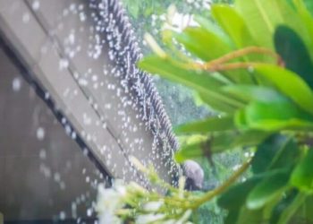 Vaguada y onda tropical provocarán aguaceros este lunes; persiste el intenso calor