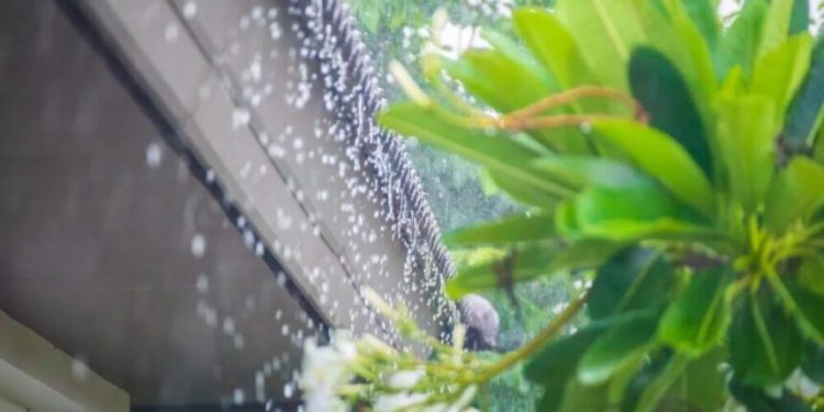 Vaguada y onda tropical provocarán aguaceros este lunes; persiste el intenso calor