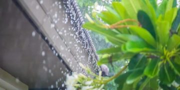 Onda tropical y vaguada provocarán aguaceros, tronadas y ráfagas de viento este lunes