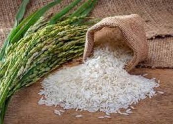 Experta sugiere cumplir con el DR-Cafta y definir medidas de apoyo a los arroceros