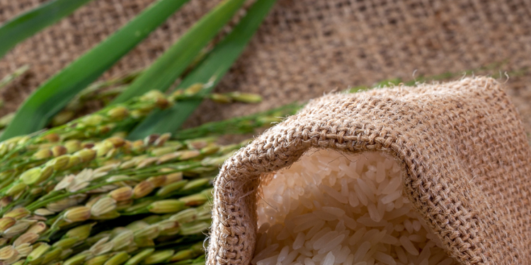 Conep ve espacio para el diálogo con Estados Unidos sobre el arroz