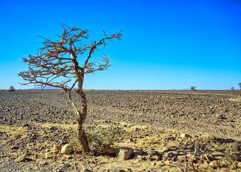 RD enfrentará riesgo moderado pero persistente por El Niño