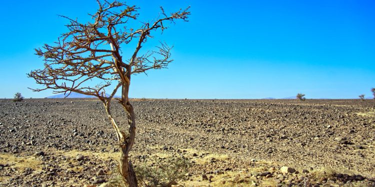 RD enfrentará riesgo moderado pero persistente por El Niño