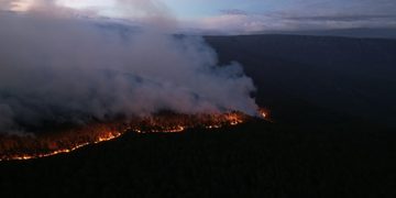 Humareda e incendios devoran pinares y fauna endémica en la Sierra de Bahoruco