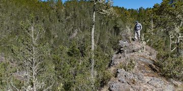 Tribunal impone prisión preventiva por tala en Valle Nuevo; Medio Ambiente destaca nuevo régimen de consecuencia