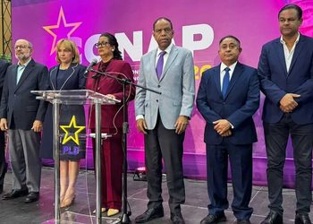 EL PLD cancela su consulta presidencial de octubre en medio de ruidos internos