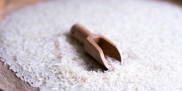 Gobierno dominicano: proteger el arroz ante EE.UU. es una "cuestión de seguridad nacional"