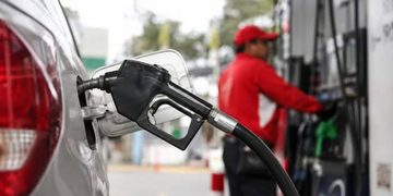 Gobierno congela los principales combustibles