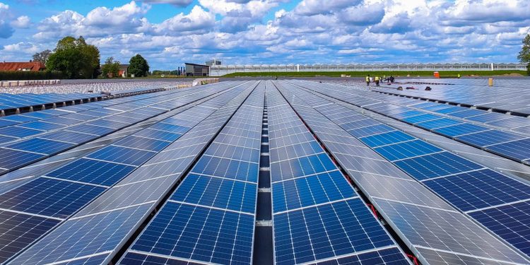 Paneles de energía solar ganan terreno ante el costo de la electricidad y los apagones
