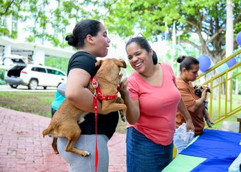 Alcaldía de Santiago celebra octava feria de adopción de perros rescatados
