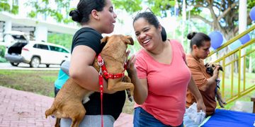 Alcaldía de Santiago celebra octava feria de adopción de perros rescatados